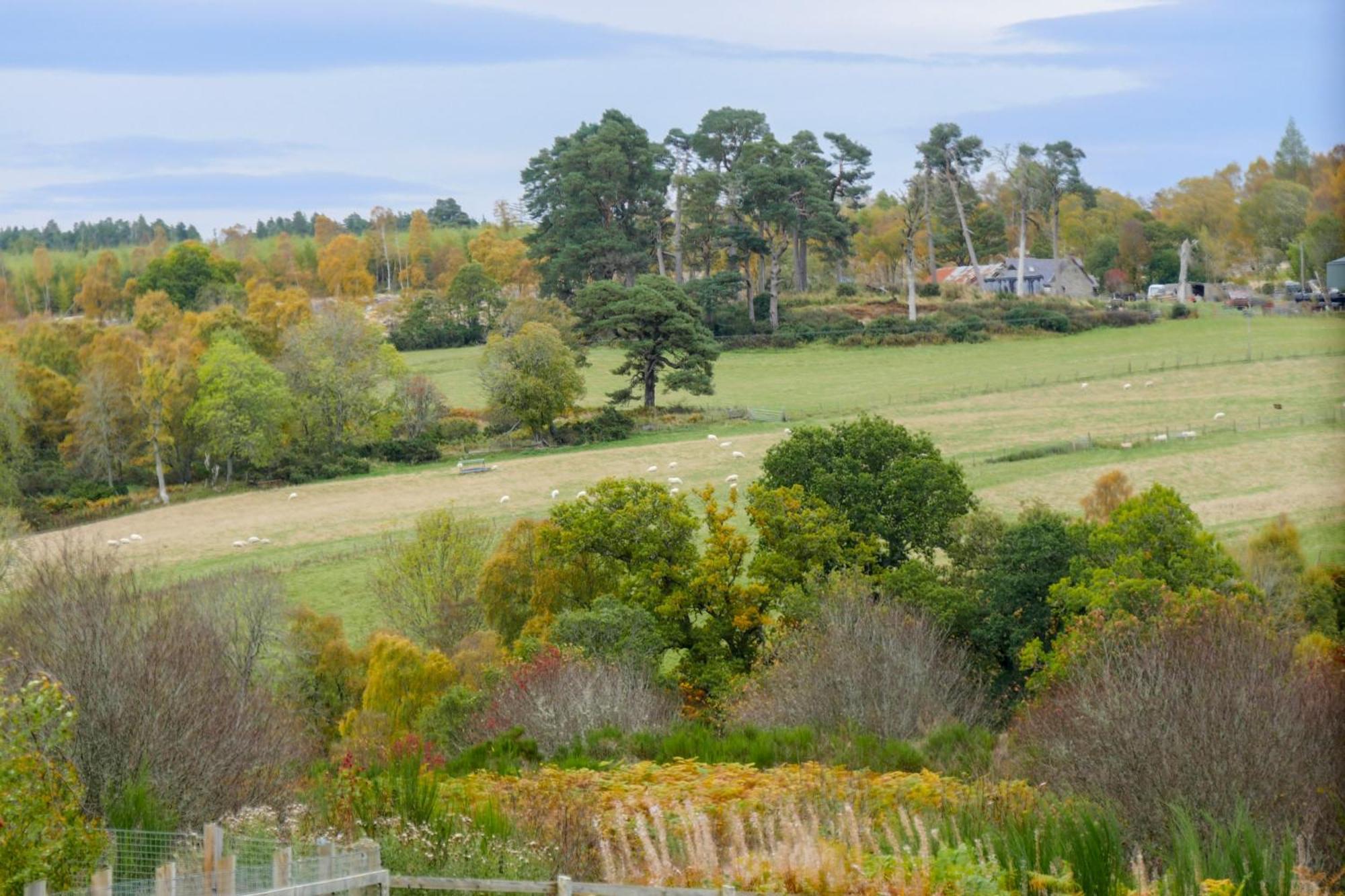 Glenview Chalet Park Inverness Esterno foto